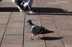 03-10-hans erik - promenade